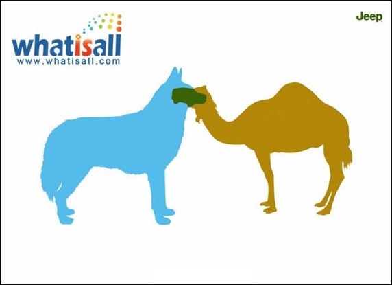 main-qimg-b6ed29dd14c530e5c8f08856ea8382b1-c